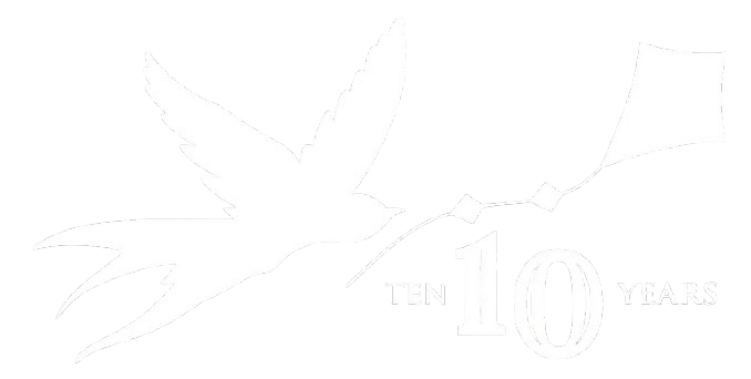 A stylised white silhouette of a soaring bird (likely a swallow) is depicted holding a string in its beak. The string connects to a kite flying in the upper right.